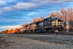 NS 4023 on 269